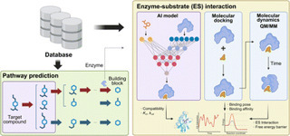 AI and mechanistic modeling for characterizing biosynthetic pathways of natural products | Npr | RMH | Scoop.it