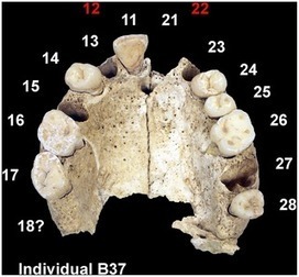 PLOS ONE: Earliest Evidence for Social Endogamy in the 9,000-Year-Old-Population of Basta, Jordan | Archaeology Articles and Books | Scoop.it