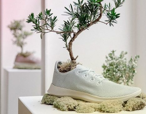 CGS survey shows Nike and Toms are consumers’ sustainability favorites – | consumer psychology | Scoop.it