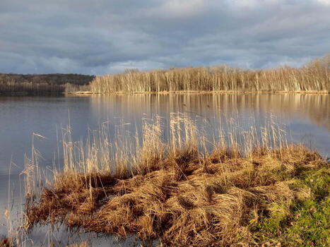 P&ocirc;le Milieux humides de Bourgogne-Franche-Comt&eacute; | Revue de presse | L'habitat & son environnement dans le Doubs : Architecture. Urbanisme. Environnement. Paysage. Logement | Scoop.it