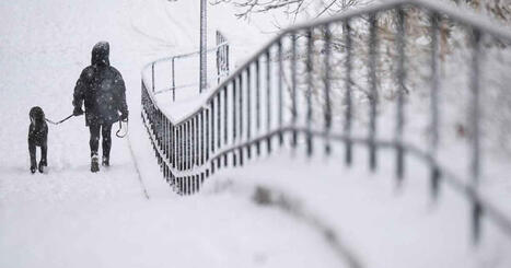 Nu blir det riktigt kallt, och det kan forts&auml;tta l&aring;ngt in i februari | Inrikes | 1Uutiset - Lukemisen t&auml;hden | Scoop.it