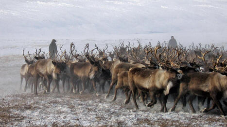 Arktisdialog in Potsdam: Indigene Bev&ouml;lkerung diskutiert mit Wissenschaft und Politik | Kompass-Aktuell | Scoop.it