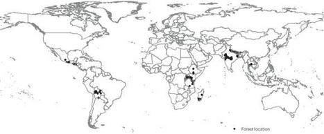 Community forest governance and synergies among carbon, biodiversity and livelihoods | Nature Climate Change | Ecosystèmes Tropicaux | Scoop.it