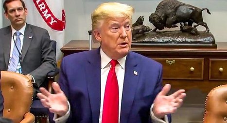 &lsquo;This president has blood on his hands&rsquo;: Congresswoman rips Trump for touting anti-Malaria drug as miracle cure &ndash; Raw Story | Backstabber Watch | Scoop.it