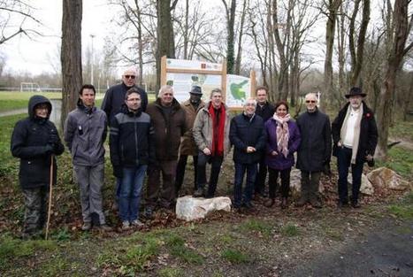 Sentier pédagogique ramiers Lacroix-Falgarde  | Lacroix-Falgarde | Scoop.it