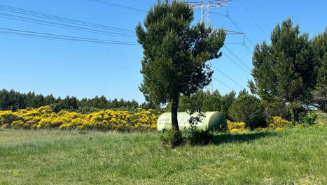 Biodiversit&eacute;&nbsp;: des collines proven&ccedil;ales menac&eacute;es par un projet de centrale photovolta&iuml;que | Environnement - &Eacute;nergie | Scoop.it