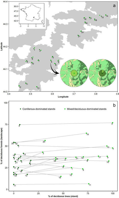 [INP-Dynafor] Bat responses to changes in forest composition and prey abundance depend on landscape matrix and stand structure | Publications scientifiques | Scoop.it
