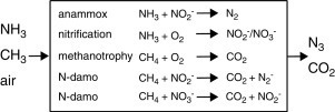 Current perspectives on the application of N-damo and anammox in wastewater treatment | RMH | Scoop.it