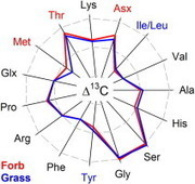 Variability in the carbon isotope composition of individual amino acids in plant proteins from different sources: 1 Leaves | Natural Products Chemistry Breaking News | Scoop.it