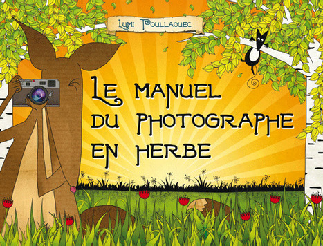 NetPublic » Manuel du photographe en herbe (par Lumi Poullaouec) | Découvrir le monde de la photo | Scoop.it