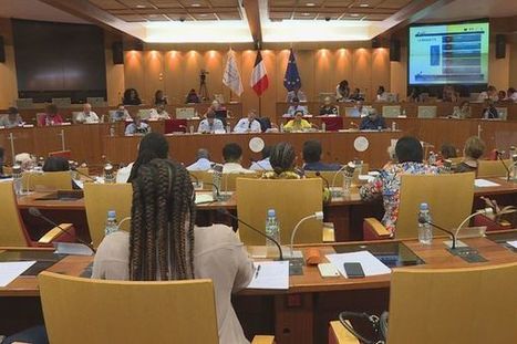 Les élus de la Collectivité Territoriale de Guyane votent en faveur du projet de révision des taux d'octroi de mer | Revue Politique Guadeloupe | Scoop.it