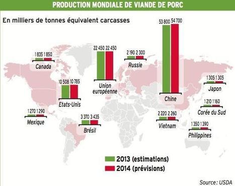 La production porcine poursuit sa croissance mondiale | SCIENCES DE L' ANIMAL | Scoop.it