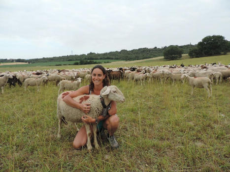 Alpes-de-Haute-Provence. Une cagnotte pour financer un camion abattoir | Actu Alpes-de-Haute-Provence | La Gazette des abattoirs | Scoop.it