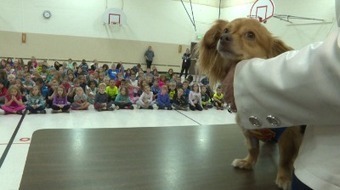 Animals with disabilities teach children about empathy, compassion | Empathy and Animals | Scoop.it