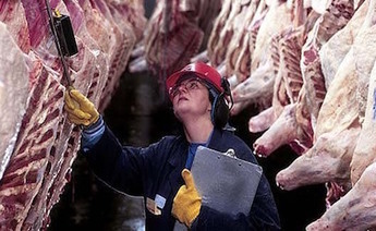 Export vers les USA. Le FSIS va augmenter les inspections des importations de viande bovine de certains pays, dont la France | La Gazette des abattoirs | Scoop.it