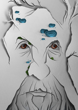Eiko Ojala | Papier découpé | Paper is beautiful | Scoop.it