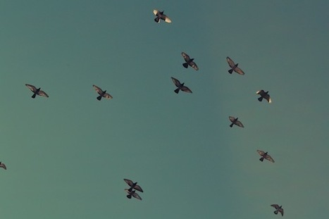 I&rsquo;m An Empath: Get Me Out Of Here | Fe-line | Empaths | Scoop.it
