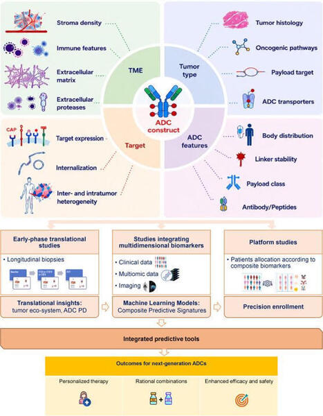 I&rsquo;ve spent much of the past decade thinking about antibody-drug conjugates.&nbsp;The field has changed dramatically in that time: there are now 14 approved ADCs, including one (T-DXd) with tumor-agnosti... | Immunology and Biotherapies | Scoop.it