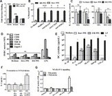Dry roasting enhances peanut-induced allergic sensitization across mucosal and cutaneous routes in mice - Journal of Allergy and Clinical Immunology | Allergy (and clinical immunology) | Scoop.it