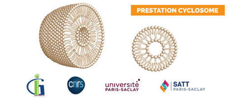 Valorisation d&rsquo;un nouveau proc&eacute;d&eacute; de concentration de liposomes | Life Sciences Universit&eacute; Paris-Saclay | Scoop.it