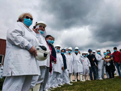"Tout est à l'arrêt" : les salariés des abattoirs Tradival de Fleury-les-Aubrais ont décrété une grève illimitée | Actualité Bétail | Scoop.it