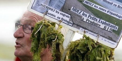 Le « bio » nous a-t-il tous rendus fous ? | Huiles végétales | Scoop.it