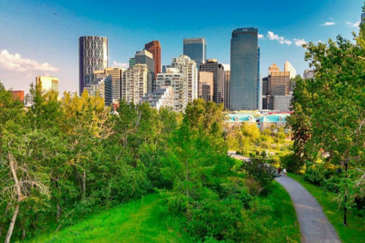 Calgary has the largest growth in millionaires of any Canadian city | Family Office & Billionaire Report - Empowering Family Dynasties | Scoop.it