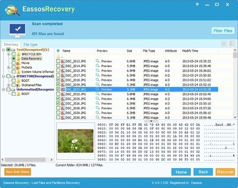 Recover deleted files free