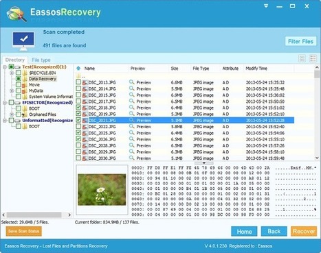 Recover deleted files free