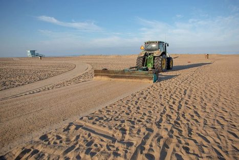 Groomed to Death | Sandy Beach Ecology & Management | Scoop.it
