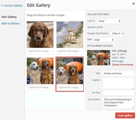 Google Grid Gallery für WordPress Grid Galerien einfach einrichten | Wordpress-Webdesign | Scoop.it