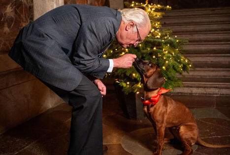 T&auml;llaisen otuksen Kaarle Kustaa ja Silvia hankkivat | 1Uutiset - Lukemisen t&auml;hden | Scoop.it