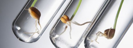 30 projets d'actions pour adapter l'agriculture aux nouveaux d&eacute;fis | Veille territoriale AURH | Scoop.it