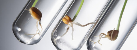 30 projets d'actions pour adapter l'agriculture aux nouveaux d&eacute;fis | Veille territoriale AURH | Scoop.it