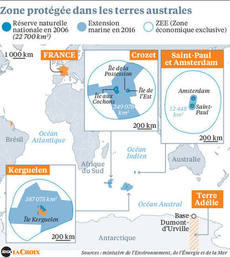 La France étend sa réserve naturelle dans l’océan austral | Biodiversité | Scoop.it