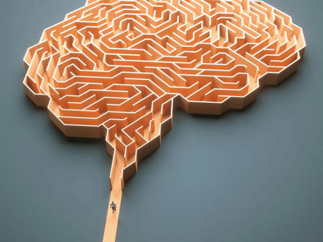 Langage et neurosciences : le mystérieux "effet Bouba-Kiki" enfin expliqué | Numérique au CNRS | Scoop.it