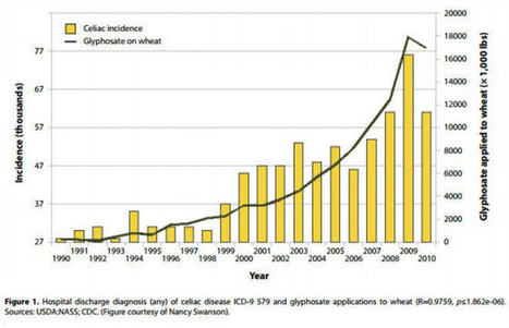 The Real Reason Wheat is Toxic (it’s not the gluten) | Health Supreme | Scoop.it