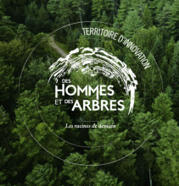 [DHDA] Assises des forêts du Grand Est | veille territoriale | Scoop.it