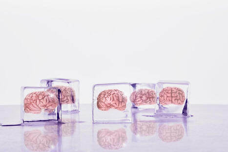 We&rsquo;re closer than ever to bringing back life from cryogenic freezing | Inova&ccedil;&atilde;o Educacional | Scoop.it