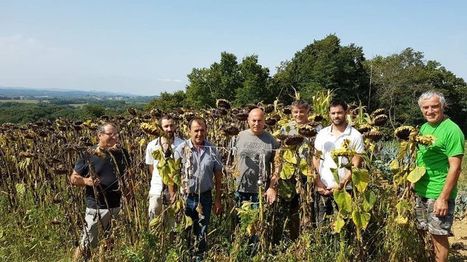 Landes : des agriculteurs enterrent leurs slips, trois mois plus tard il ne reste plus que l'étiquette | Landes | Scoop.it