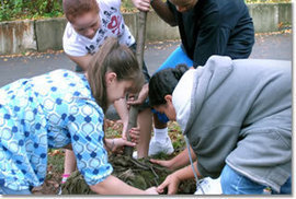 American Honda Foundation - Grants for Youth Education and Science Education | Nonprofit Funding Opportunities | Scoop.it