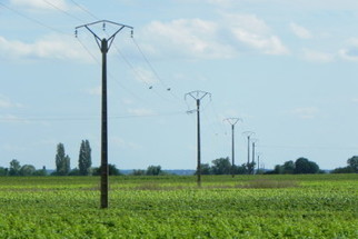 « Smile », un projet ambitieux pour faire passer les smart grids du prototype au stade industriel | Regards croisés sur la transition écologique | Scoop.it