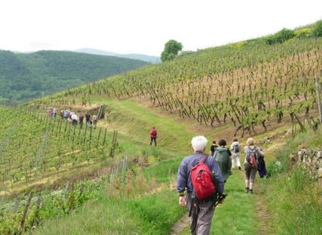 Les fermes-auberges d’Alsace ont 50 ans - Fédération Française de la Randonnée Pédestre | Tourisme de randonnées                                                                                                                                                                                 & Sports de nature pour les pros | Scoop.it