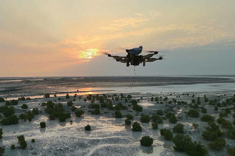 How drone technology is helping plant 100 million mangrove trees in Abu Dhabi by 2030 | Remotely Piloted Systems | Scoop.it