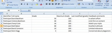 Offline Grading in Moodle, a little known feature | Moodle and Web 2.0 | Scoop.it