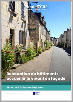 • À TÉLÉCHARGER ! • Rénovation du bâtiment : accueillir le vivant en façade. Série de 4 fiches techniques | ESPACES VEGETALISES URBAINS | Scoop.it