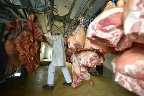 Calvados : un abattoir pour petits animaux en projet dans le pays d’Auge | Le Pays d'Auge | La Gazette des abattoirs | Scoop.it