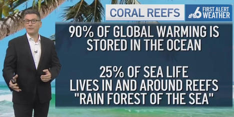 Meteorologist: Humanity has reached 'a point we cannot return from' as ocean temperatures soar - AlterNet.org | Agents of Behemoth | Scoop.it