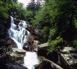 5 Great Ways to Explore National Parks under your own Power | Trekking | Scoop.it