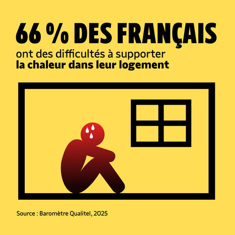 Le logement, un besoin vital. | Strat&eacute;gie pauvret&eacute; et pacte des solidarit&eacute;s | Scoop.it